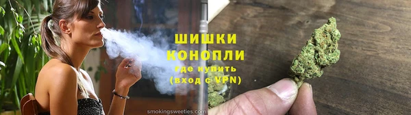 PSILOCYBIN Богородицк