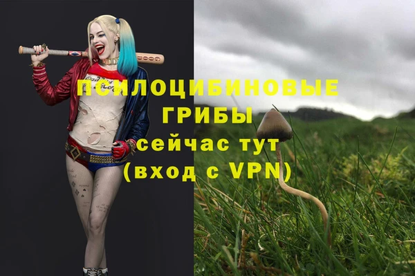 стафф Михайловка