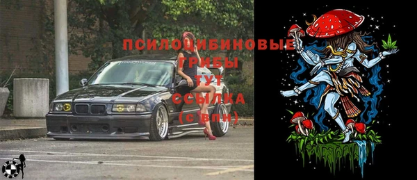 стафф Михайловка