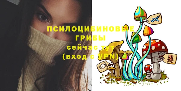 Альфа ПВП Михайлов