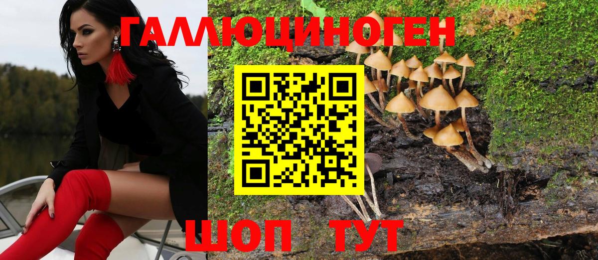 Псилоцибиновые грибы Psilocybe Ялуторовск