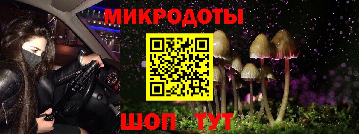 Галлюциногенные грибы MAGIC MUSHROOMS  Вход с VPN  Ялуторовск  Псилоцибиновые грибы Psilocybine cubensis 